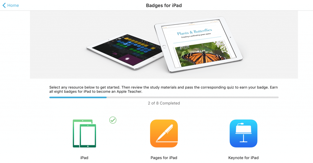 Apple Teacher Badges